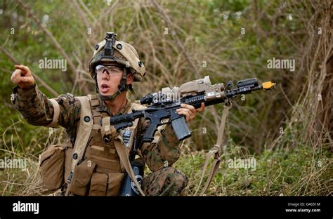 Marine Machine Gunner in Action