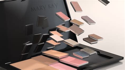 Mary Kay Pro Palette Formula