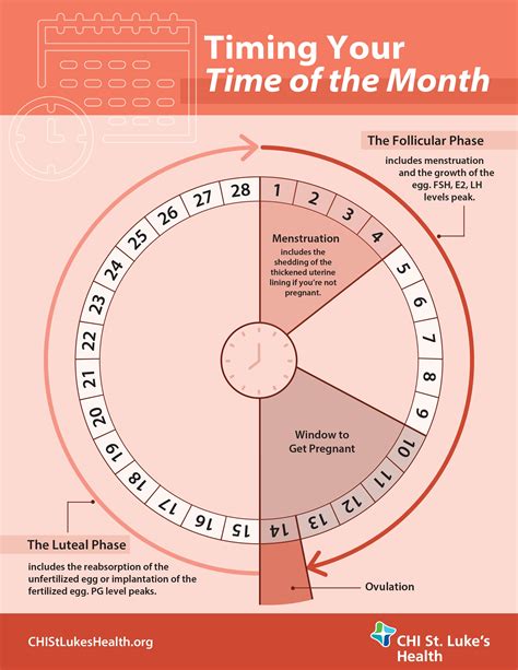 Menstrual Cycle Tracking Image