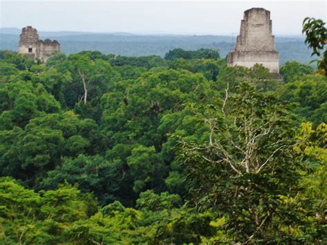 Aztec Color Palette 3: Mesoamerican Jungle