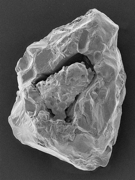 Micrometeorite Fragment