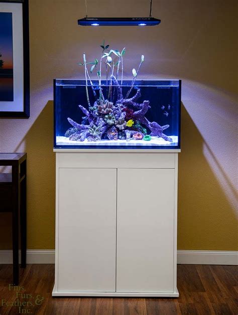 Modern Marine Tank with LED Lighting