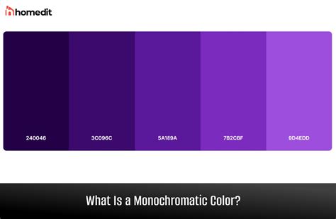 Monochromatic Color Palette Blue Purple