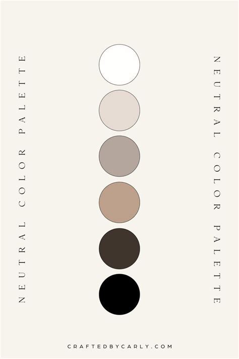 Monochromatic Neutral Colour Palette