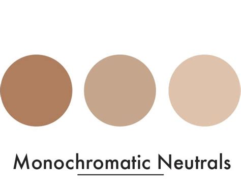 Monochromatic Neutrals Color Palette