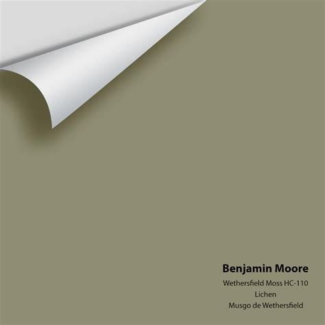 Mossy Stone Benjamin Moore