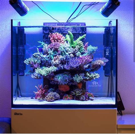 Nano Reef Tank with Compact Design