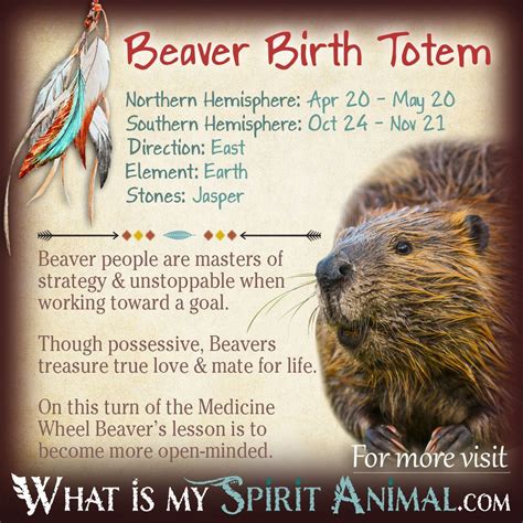 Beaver Native Zodiac Sign