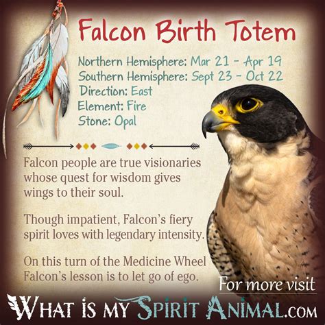 Falcon Native Zodiac Sign