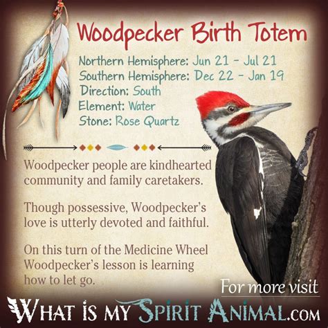 Woodpecker Native Zodiac Sign