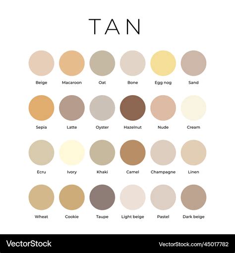 Natural Tan Color Palette Benefits