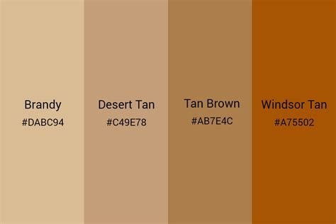 Natural Tan Color Palette Color Combinations