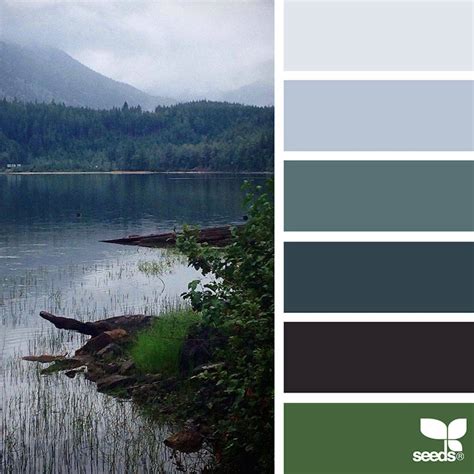 Nature's Color Palette