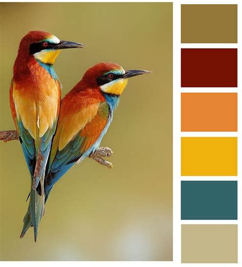 Nature's Color Palette