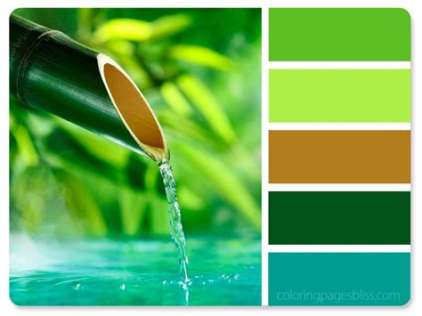 Nature-Inspired Colour Palette