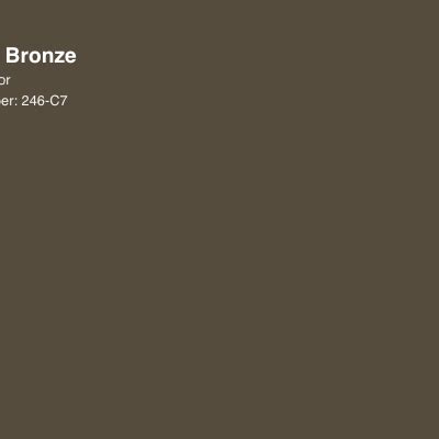 Neutral Bronze Color Palette