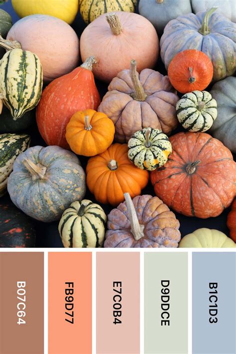 Neutral Fall Colors