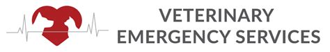 New Ross Vet Emergency Care