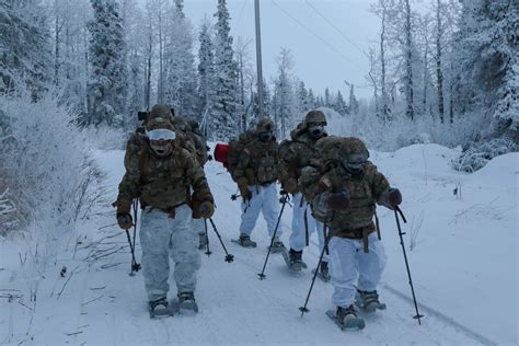 Soldiers training in cold weather conditions