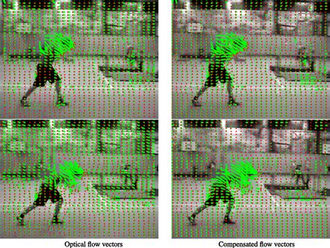 Optical Flow Vector Field