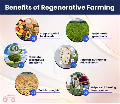 Organic Regenerative Farming