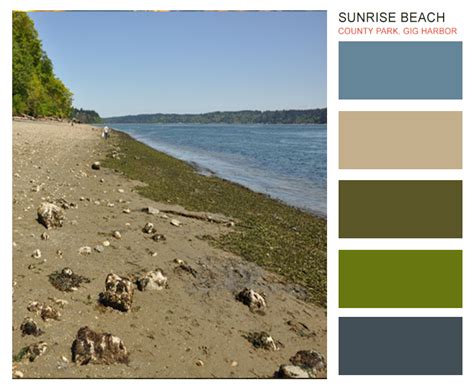 Pacific Northwest Color Palette Inspiration