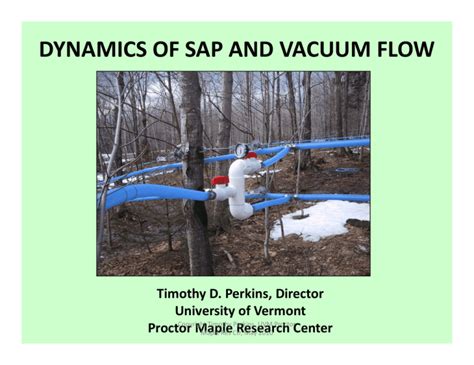 Power Vacuum Dynamics