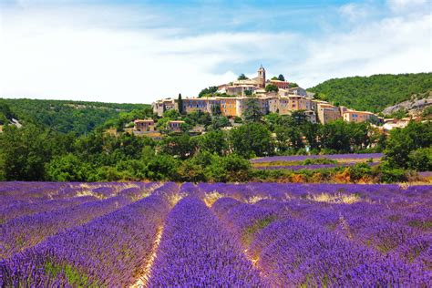 Provence Landscape