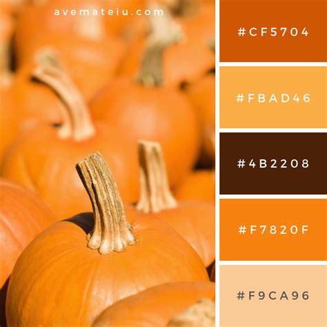 Pumpkin Coach Color Palette Inspiration