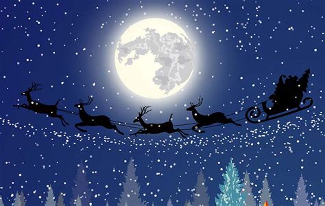 Reindeer in Flight at Night