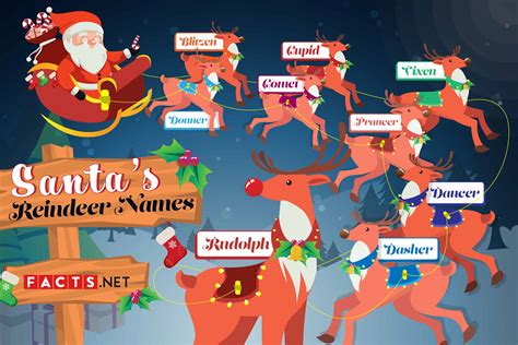 Reindeer Names