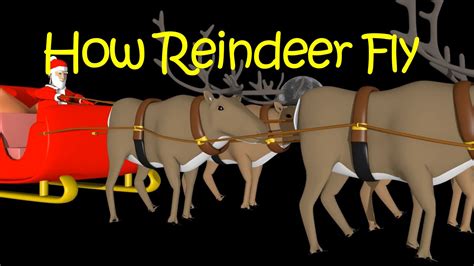 Reindeer Flight Science