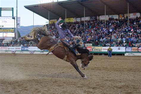 Reno Rodeo Action