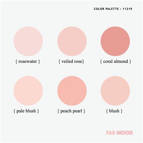 Soft Pink and White Colour Palette