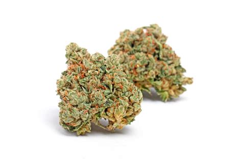 Royal Fire Strain CBD Content