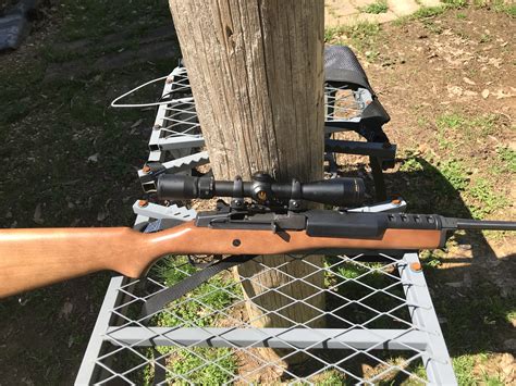 Ruger Mini-14 Hunting