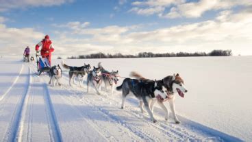 Winter activities in Russia