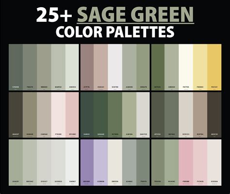 Sage Green Color Palettes