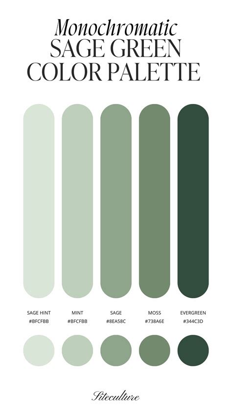 Sage Green Color Palette 3