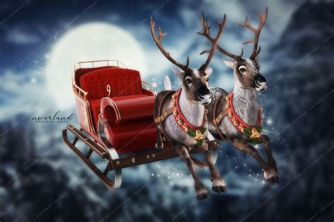 Santa's Sleigh and Reindeer