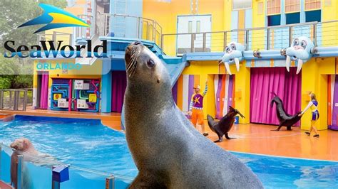 SeaWorld Sea Lion