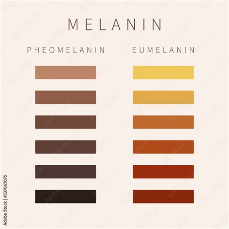 Shade Range and Pigmentation