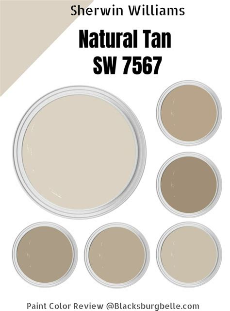 Sherwin Williams Natural Tan Color Palette Inspiration