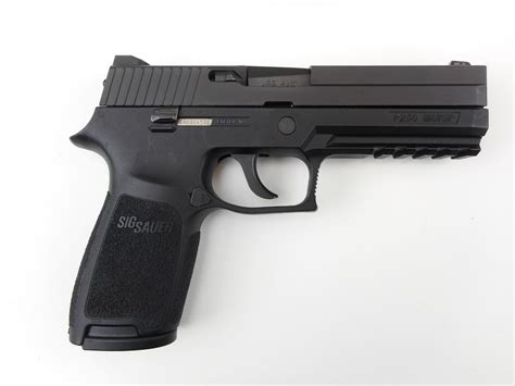 Sig P250 Basic Model