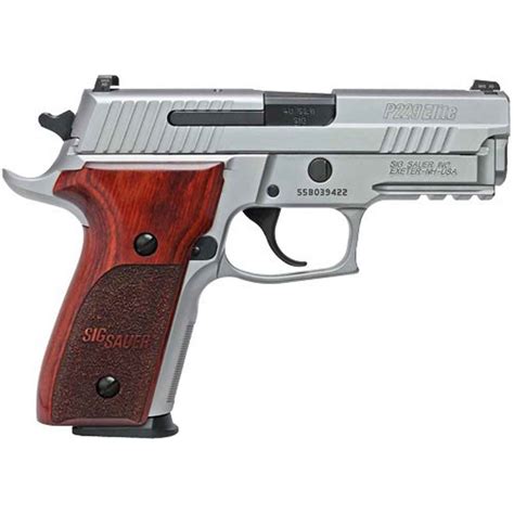 Sig Sauer P229 pistol image