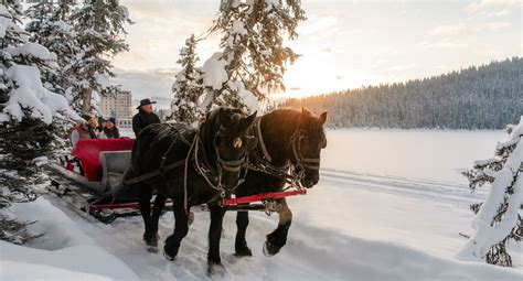 A horse-drawn sleigh ride through the snowy countryside