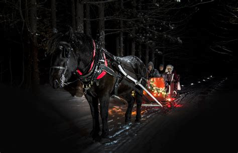 A horse-drawn sleigh ride at night