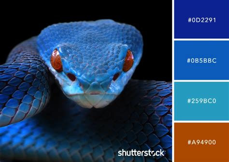 Hourglass Snake Palette Design