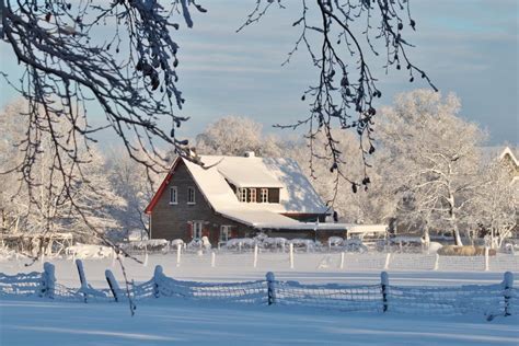 Snowy Landscape Beige Winter Color