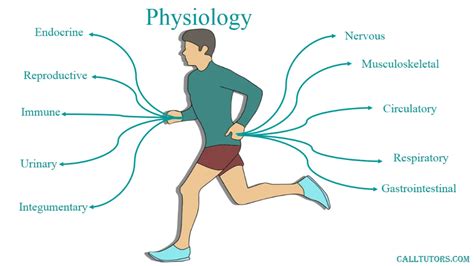 Speed Guy's Physiology